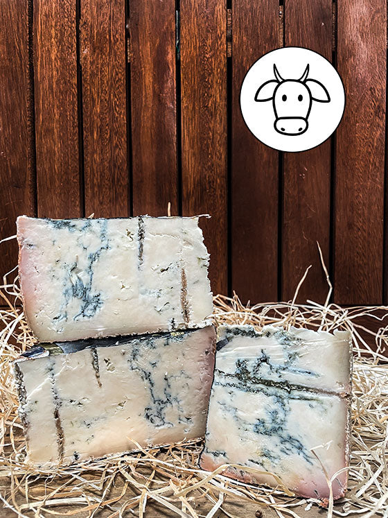 grogonzola dop piccante online kaufen aus itlalien