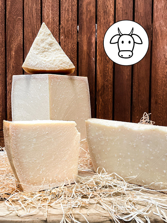 Italienischen Parmesan Online kaufen Parmigiano Reggiano DOP Onlineshop