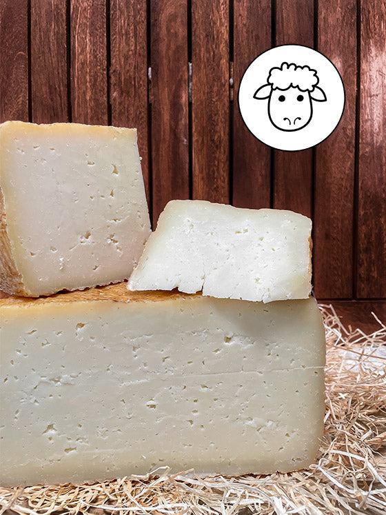 Sardischer Pecorino würziger Schafskäse online kaufen