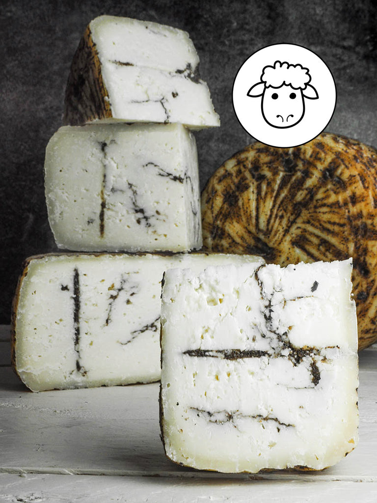 pecorino aufbewahren Trüffelpecorino Moliterno – Pecorino mit schwarzem Trüffel aus Sardinien