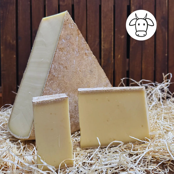 Aostatal Bergkäse auf Stroh, Schnittstücke mit brauner Rinde, Symbol für Kuhmilch