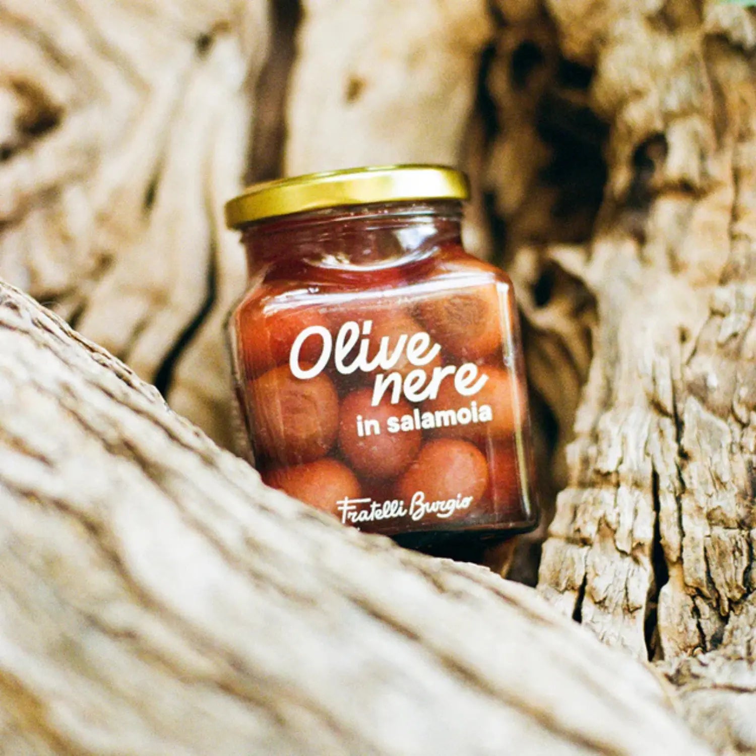 Schwarze sizilianische Oliven in Salzlake im Glas mit natürlichem Hintergrund.