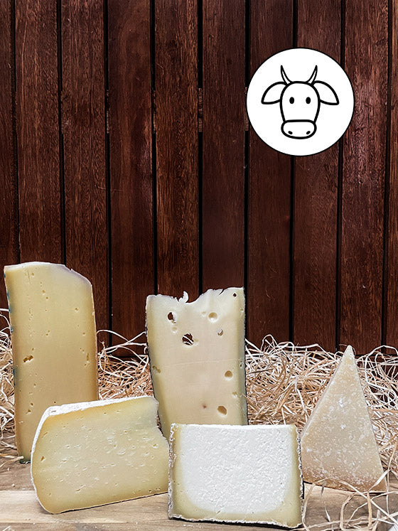 italienische Kuhmilch Käseplatte online kaufen
