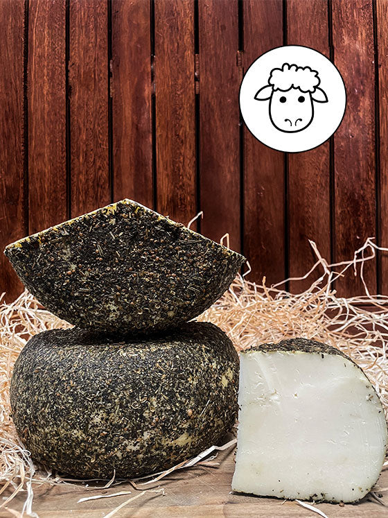 italienischen pecorino jung kräuter online kaufen delikatessen