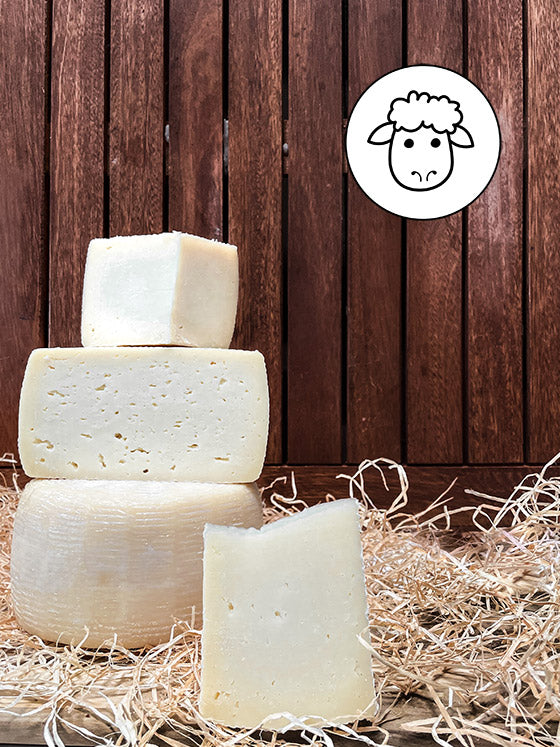 milder junger Pecorino Brigante aus Sardinien